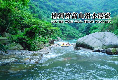 小猪仔要回家